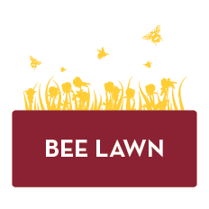 bee lawn
