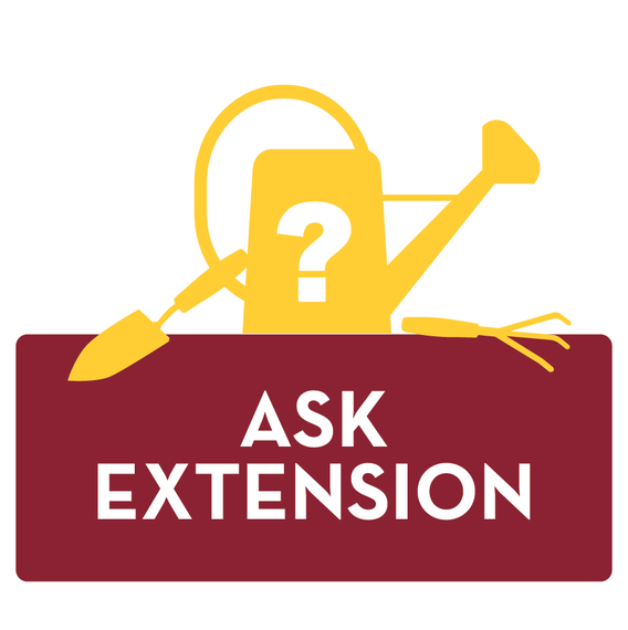 ask extension