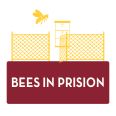 Bees in prison