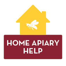 home apiary help