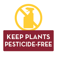 Keep Plants Pesticide-Free