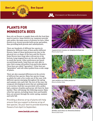 Plants for Minnesota Bees