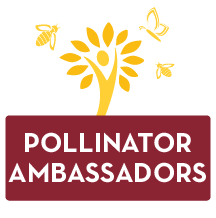 Pollinator ambassadors