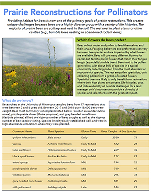Prairie Reconstructions for Pollinators