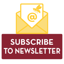 SUBSCRIBE TO NEWSLETTER