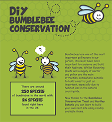 DIY Bumblebee Conservation