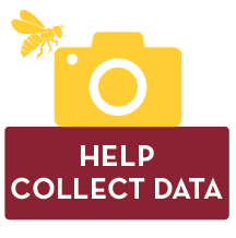 Help Collect Data
