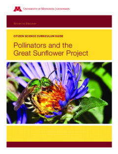 Pollinators and the Great Sunflower Project