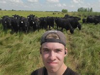 A person wearing a backwards baseball cap stands in front of a group of black cows on a grassland
