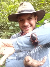 A smiling person displays two very large beetles on their arm