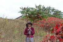 Jensen is standing in the middle of a hilly field wearing a black wide-brimmed hat, maroon long sleeve shirt, and grey field plants, while holding a small tree. On the right of the photo are red leaves.