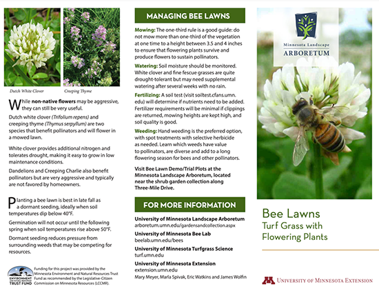 Managing Bee Lawns