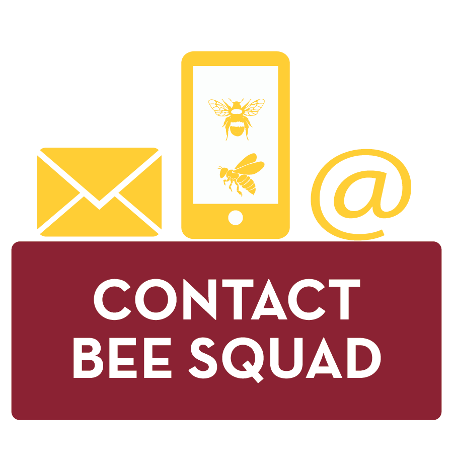 contact bee squad