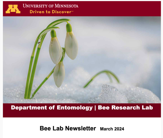 Bee Lab Newsletter March 2024