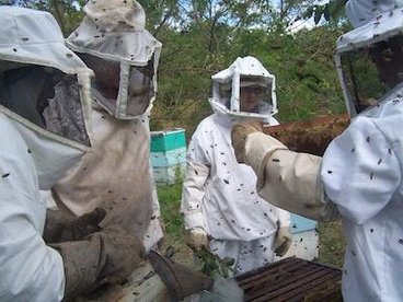 Beekeepers in Nicaragua