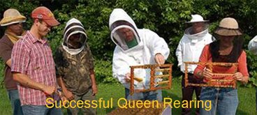 Successful Queen Rearing Short Course