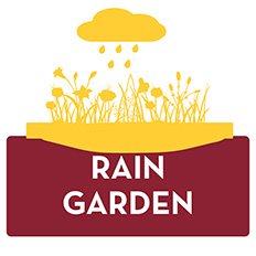 rain garden
