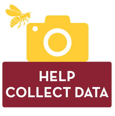 help collect data
