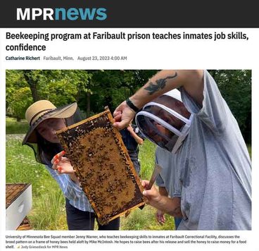 mpr bees in prison story