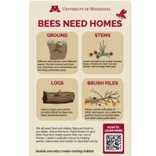 bees need homes sign