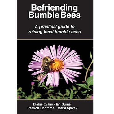 Befriending Bumble Bees